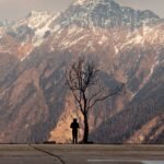 dead tree in front of huge Himalayan mountain